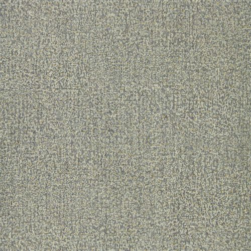 Kauri 312953